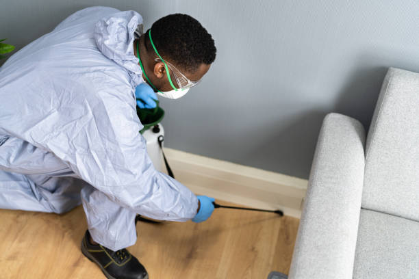 Best Real Estate Pest Inspections  in Laurium, MI